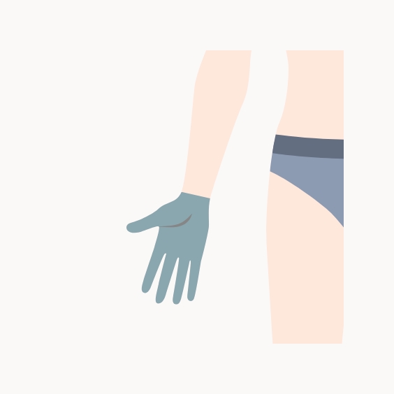 手の指・甲イラスト