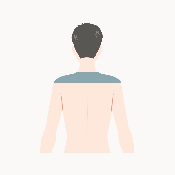 肩イラスト