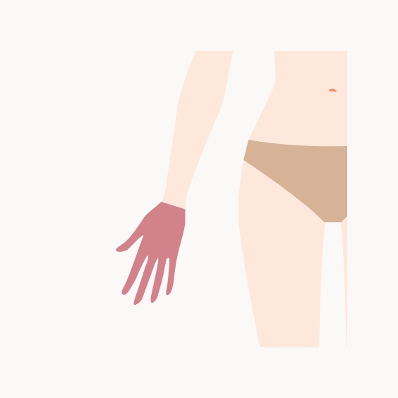 手の指・甲イラスト