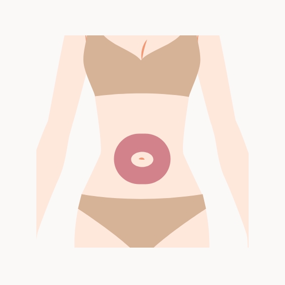 へそ周りイラスト