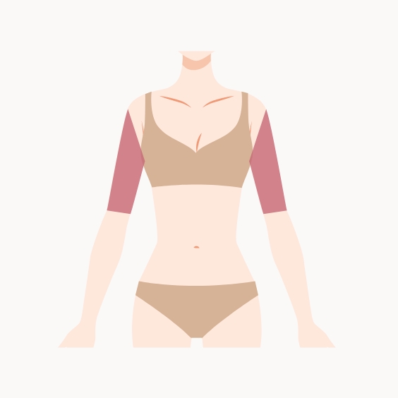 二の腕イラスト